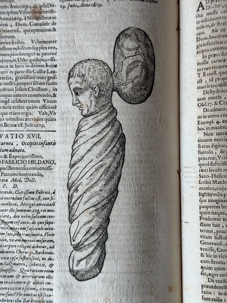 Klik voor vergroting