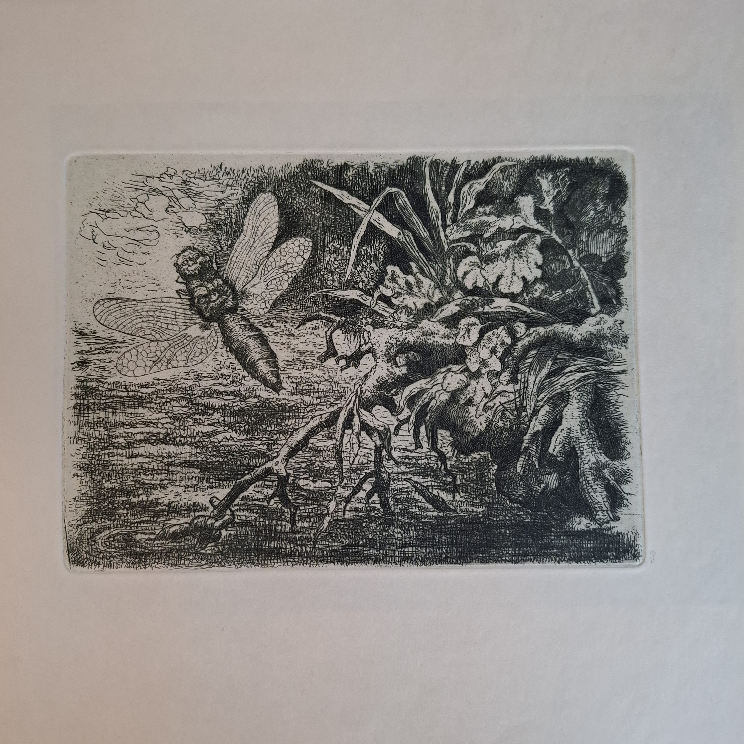 Klik voor vergroting