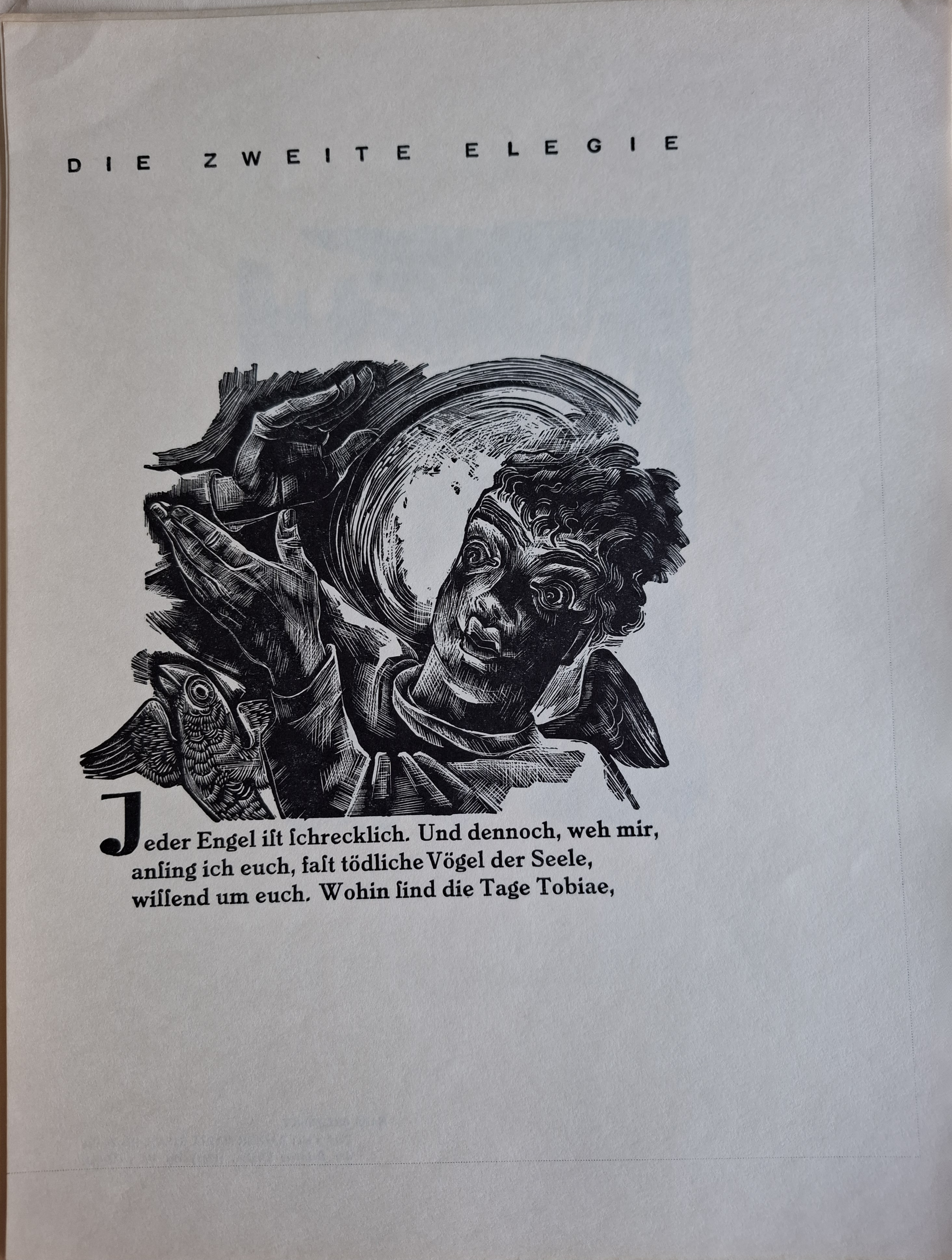 Klik voor vergroting