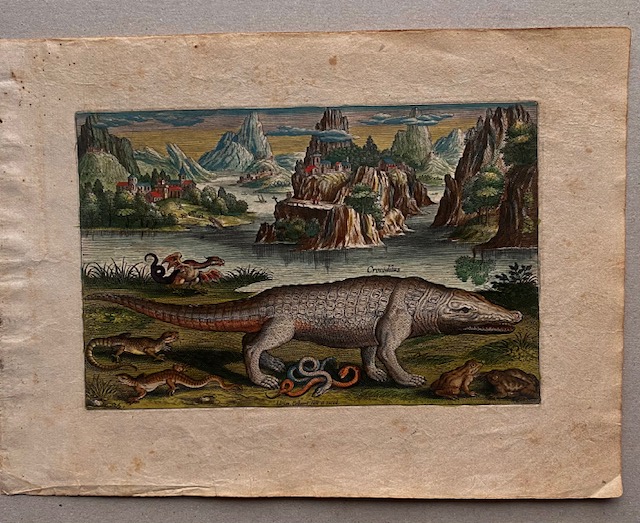 Klik voor vergroting