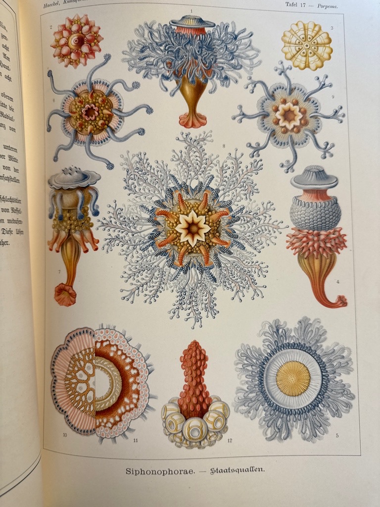 Klik voor vergroting