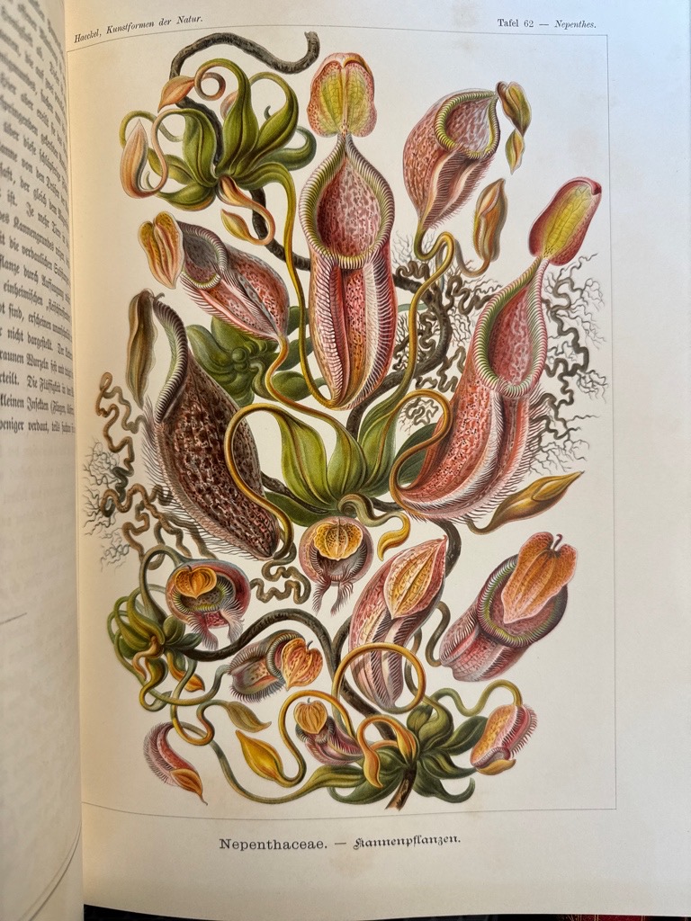 Klik voor vergroting