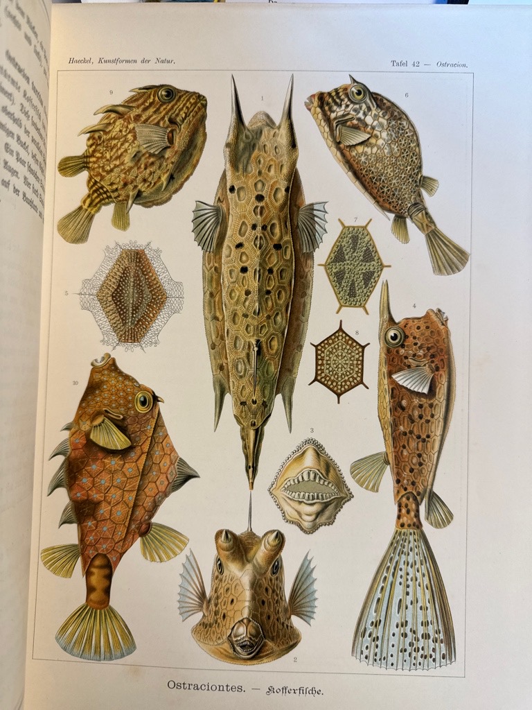 Klik voor vergroting