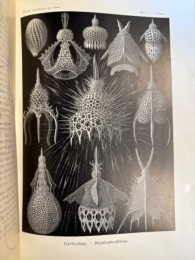 Klik voor vergroting